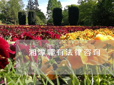 湘潭哪有法律咨询 湘潭哪有法律咨询