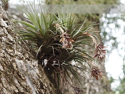 湘潭工人新村路停产车违法
