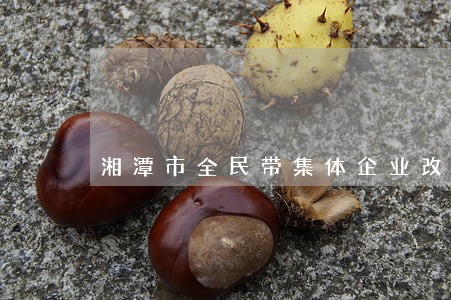 湘潭市全民带集体企业改制法规 湘潭市全民带集体企业改制法规