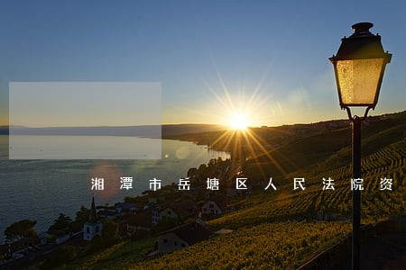 湘潭市岳塘区人民法院资产诉讼 湘潭市岳塘区人民法院资产诉讼