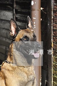 湘潭市法律咨询地址 湘潭市法律咨询地址
