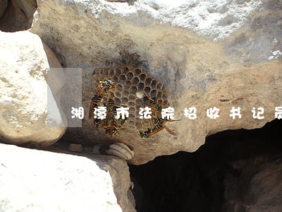 湘潭市法院招收书记员 湘潭市法院招收书记员