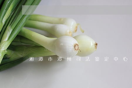 湘潭市潭州司法鉴定中心
