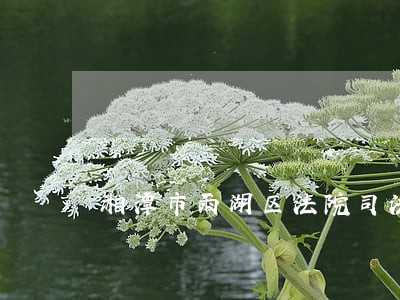 湘潭市雨湖区法院司法拍卖 湘潭市雨湖区法院司法拍卖