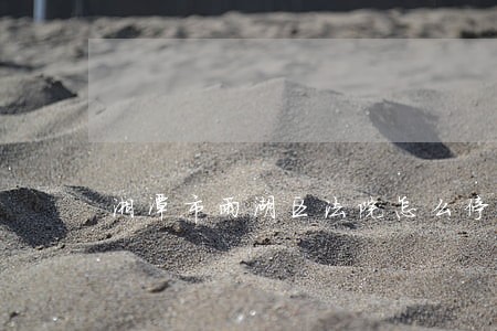 湘潭市雨湖区法院怎么停车