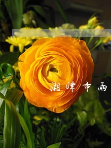 湘潭市雨湖区法院黄正林 湘潭市雨湖区法院黄正林