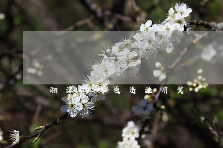 湘潭拍交通违法有奖