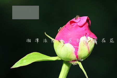 湘潭法院小区和隆鑫花苑