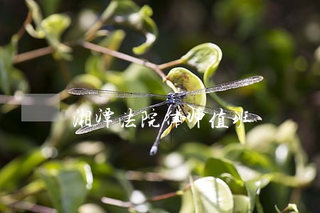 湘潭法院律师值班 湘潭法院律师值班
