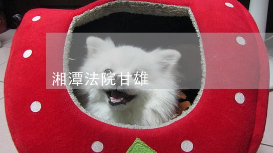湘潭法院甘雄 湘潭法院甘雄