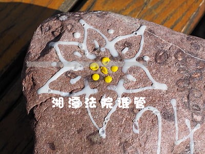湘潭法院谁管