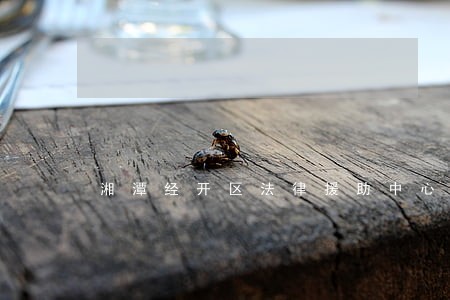 湘潭经开区法律援助中心 湘潭经开区法律援助中心