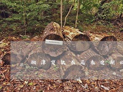 湘潭贷款未还未逾期公积金 湘潭贷款未还未逾期公积金