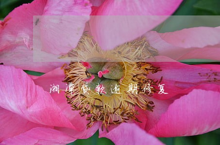 湘潭贷款逾期修复 湘潭贷款逾期修复