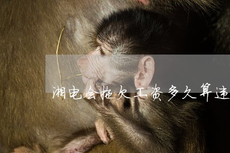 湘电会拖欠工资多久算违法 湘电会拖欠工资多久算违法