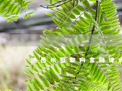 湘西州互联网金融律师在线解答 湘西州互联网金融律师在线解答