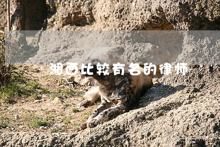 湘西比较有名的律师 湘西比较有名的律师