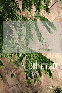 湘西银行律师咨询电话 湘西银行律师咨询电话