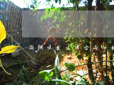 湘阴顺发法律咨询任龙 湘阴顺发法律咨询任龙