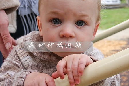 湛仲仲裁逾期 湛仲仲裁逾期