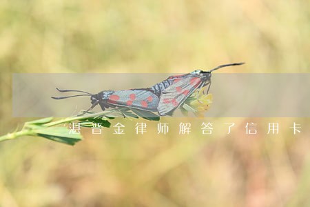 湛晋金律师解答了信用卡逾期