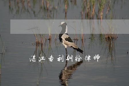 湛江专利纠纷律师 湛江专利纠纷律师