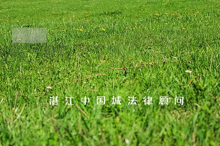 湛江中国城法律顾问