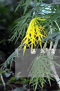 湛江交通律师微信咨询 湛江交通律师微信咨询