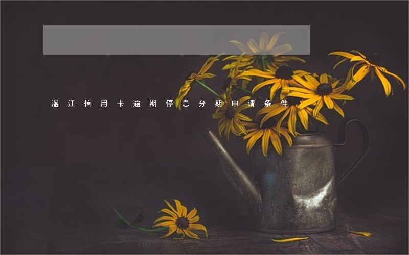 湛江信用卡逾期停息分期申请条件 湛江信用卡逾期停息分期申请条件