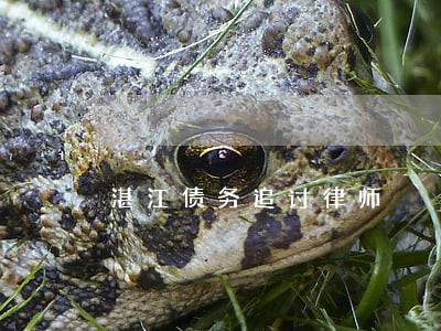 湛江债务追讨律师 湛江债务追讨律师