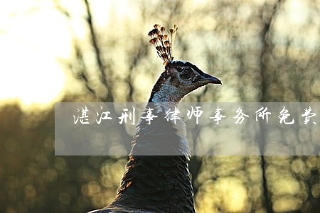 湛江刑事律师事务所免费咨询 湛江刑事律师事务所免费咨询