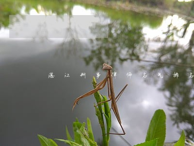 湛江刑事律师名气排名 湛江刑事律师名气排名