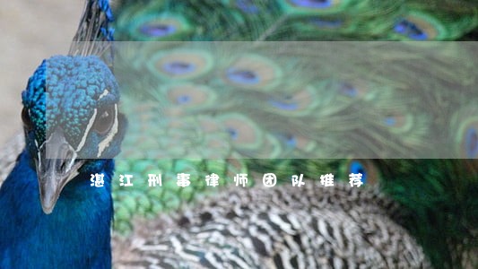 湛江刑事律师团队推荐 湛江刑事律师团队推荐