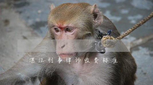 湛江刑事律师收费标准 湛江刑事律师收费标准