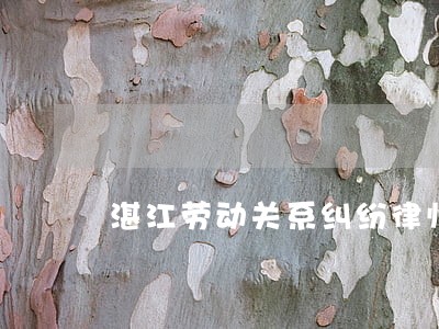 湛江劳动关系纠纷律师 湛江劳动关系纠纷律师