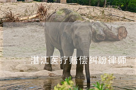 湛江医疗赔偿纠纷律师 湛江医疗赔偿纠纷律师