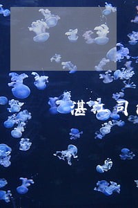 湛江司法武警学校
