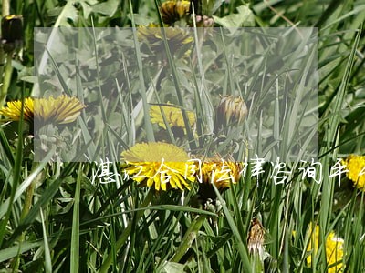 湛江合同法律咨询平台