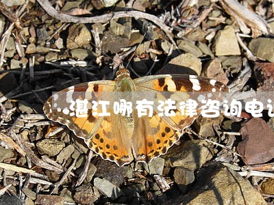 湛江哪有法律咨询电话 湛江哪有法律咨询电话