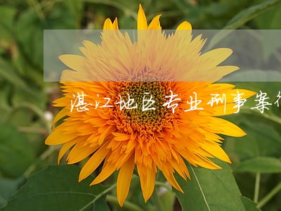 湛江地区专业刑事案律师 湛江地区专业刑事案律师