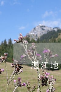 湛江地区代理婚前财产纠纷律师 湛江地区代理婚前财产纠纷律师