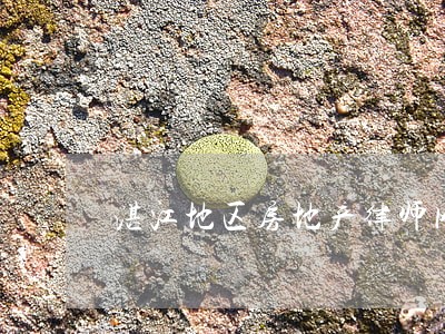 湛江地区房地产律师网站 湛江地区房地产律师网站