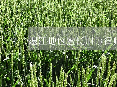 湛江地区擅长刑事律师网站 湛江地区擅长刑事律师网站