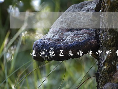 湛江地区离婚律师哪个好 湛江地区离婚律师哪个好
