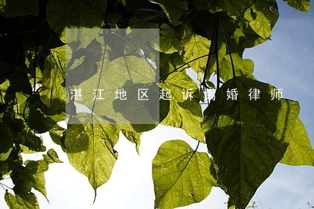 湛江地区起诉离婚律师