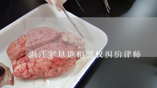 湛江宅基地相邻权纠纷律师 湛江宅基地相邻权纠纷律师