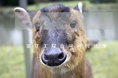 湛江工程合同纠纷处理 湛江工程合同纠纷处理