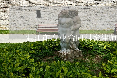 湛江市专业合同纠纷律师推荐 湛江市专业合同纠纷律师推荐