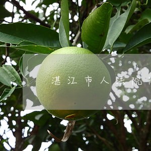 湛江市人法院陈明 湛江市人法院陈明