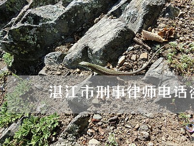 湛江市刑事律师电话咨询 湛江市刑事律师电话咨询